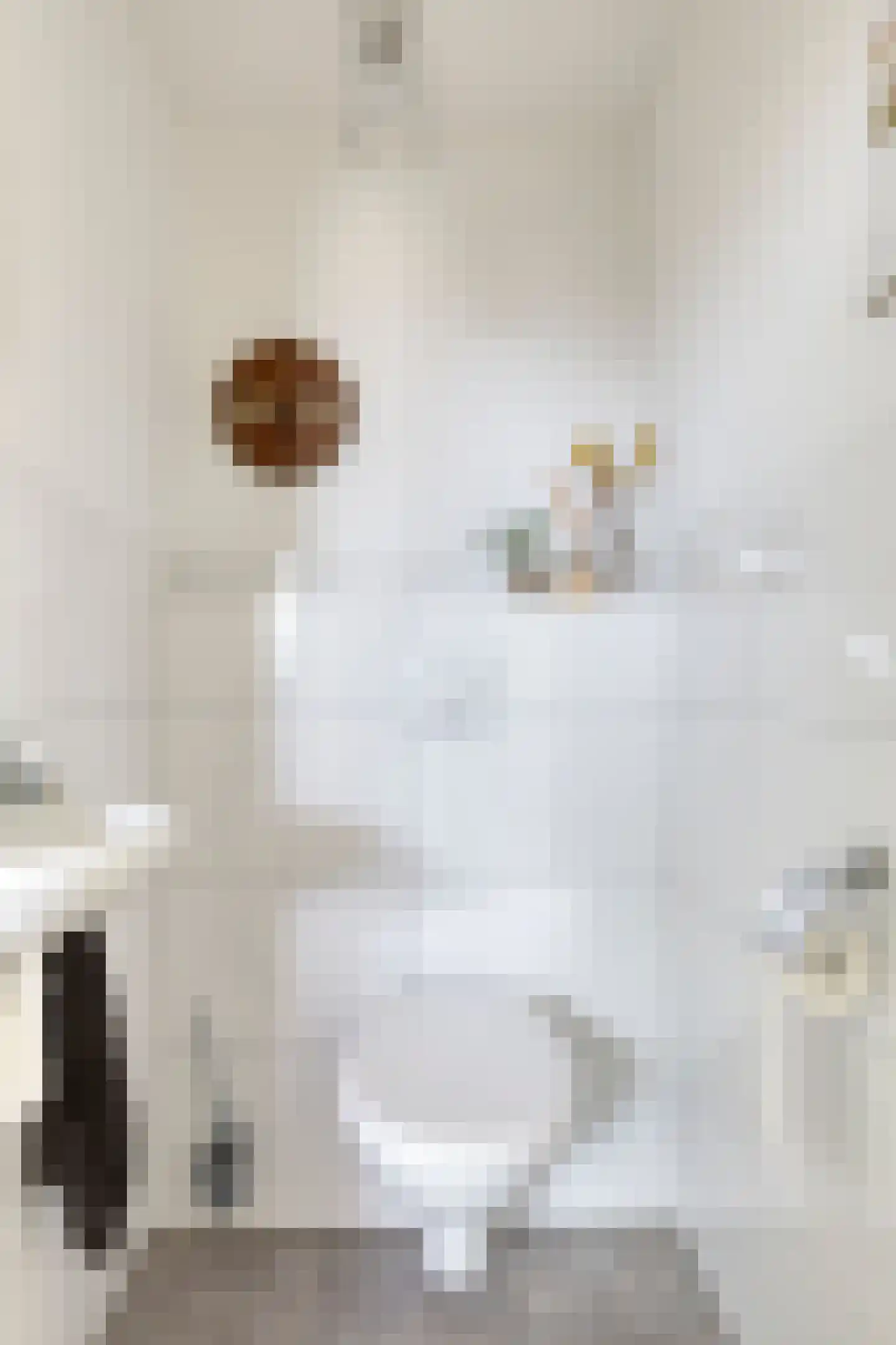 Zonnedauw 23 Meijel thumbnail 24