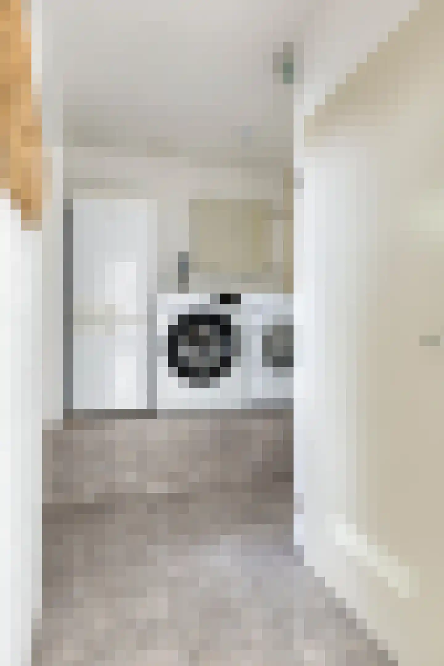 Zonnedauw 23 Meijel thumbnail 25