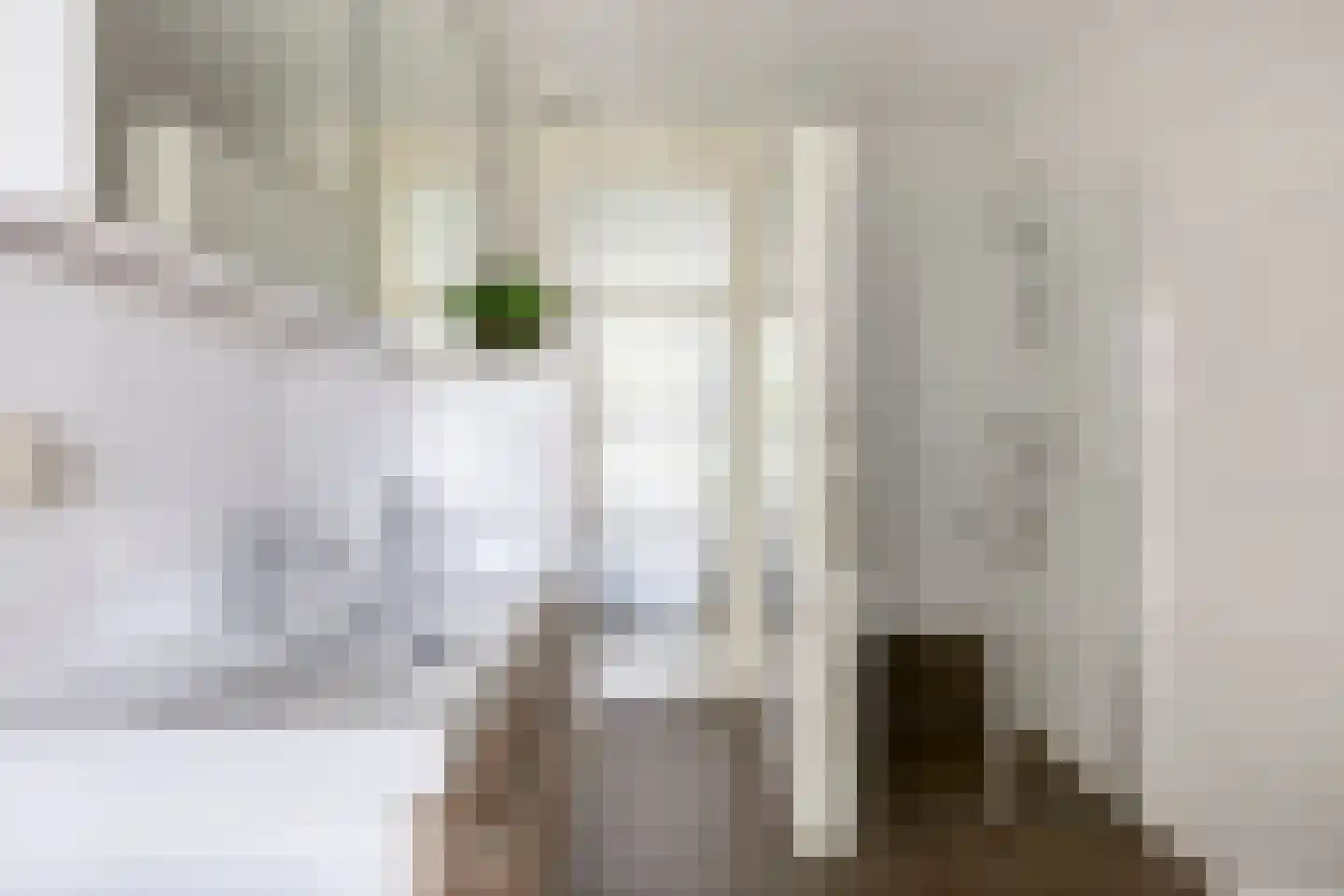 Zonnedauw 23 Meijel thumbnail 26