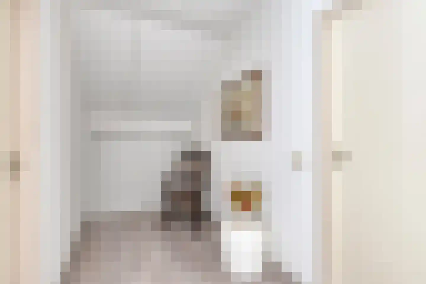 Zonnedauw 23 Meijel thumbnail 33