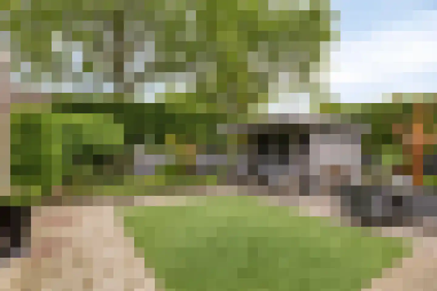 Zonnedauw 23 Meijel thumbnail 48