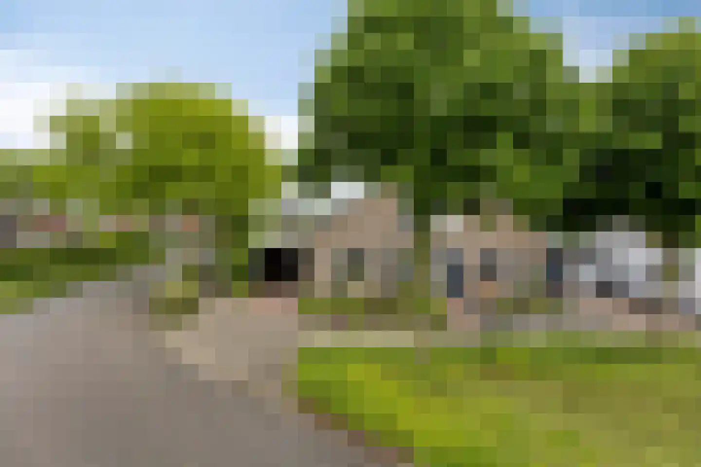 Zonnedauw 23 Meijel thumbnail 56