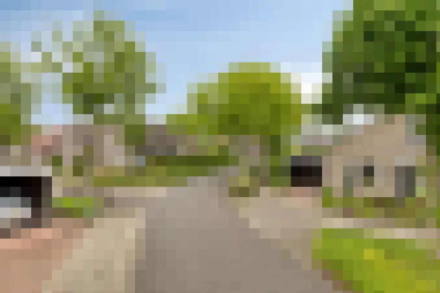 Zonnedauw 23 Meijel thumbnail 57