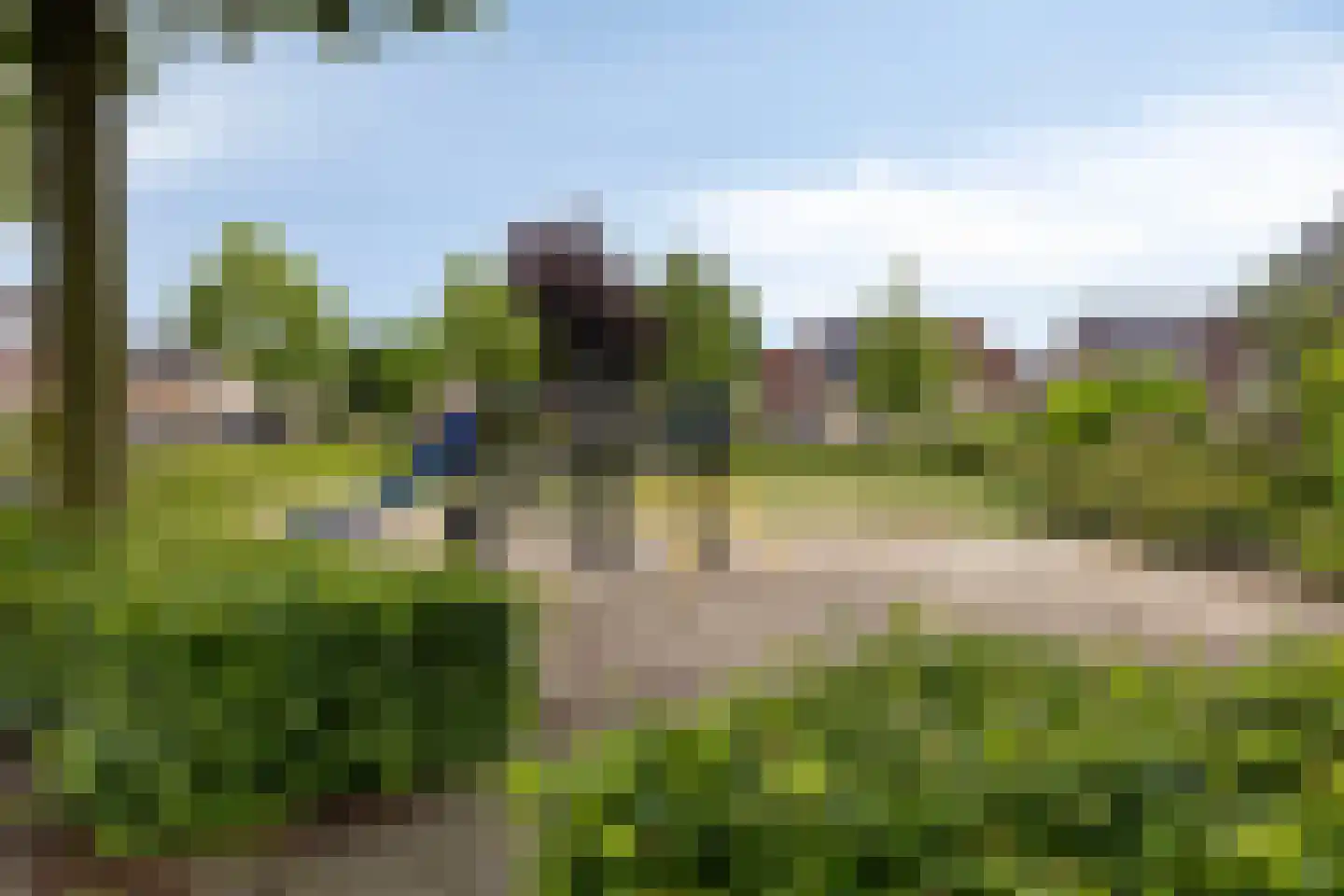 Zonnedauw 23 Meijel thumbnail 59