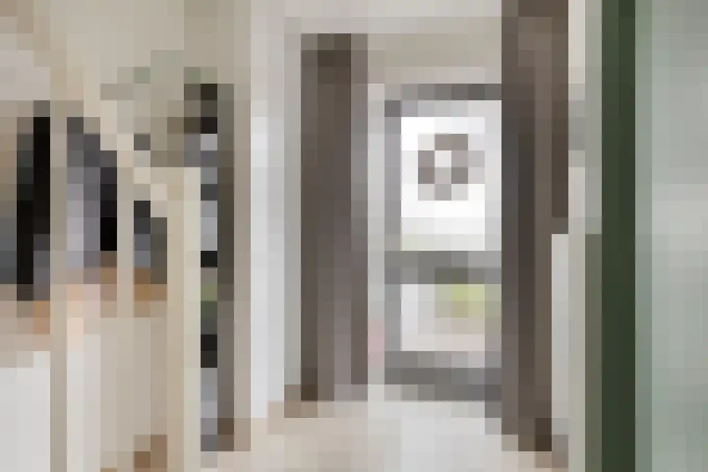 Zonnedauw 23 Meijel thumbnail 6
