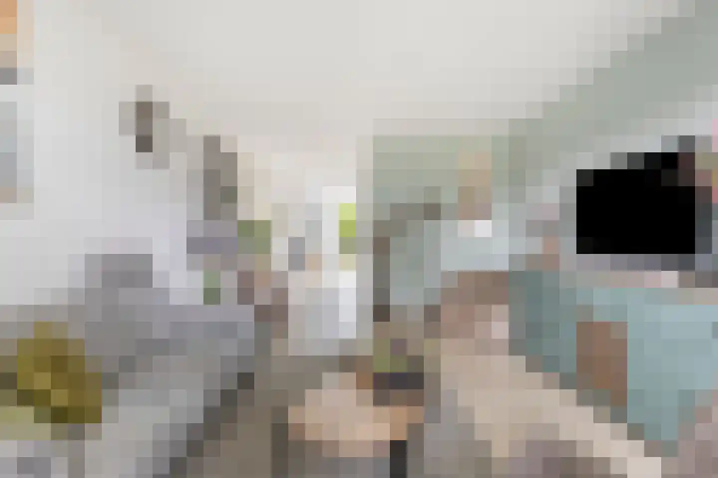 Zonnedauw 23 Meijel thumbnail 8