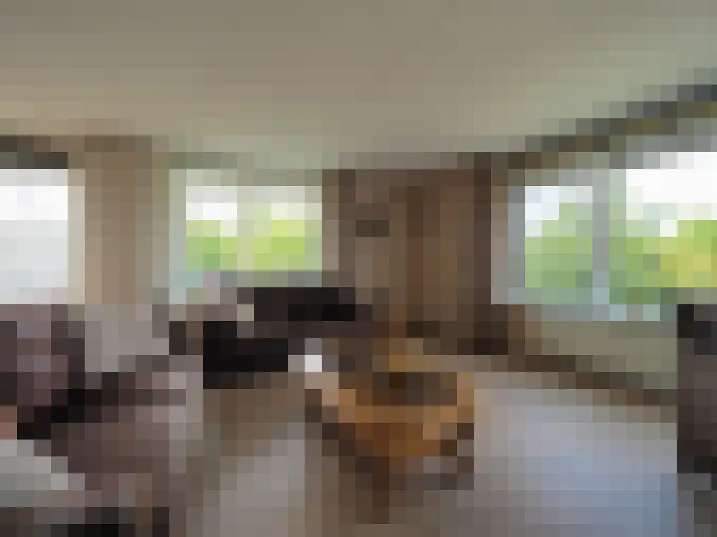 Zonnedauw 23 Papendrecht thumbnail 14