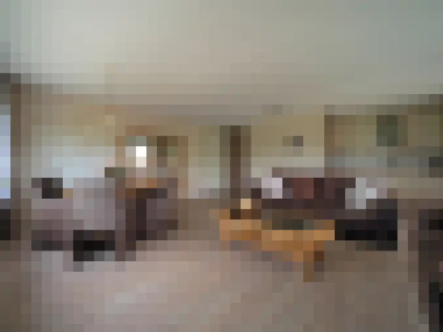 Zonnedauw 23 Papendrecht thumbnail 16