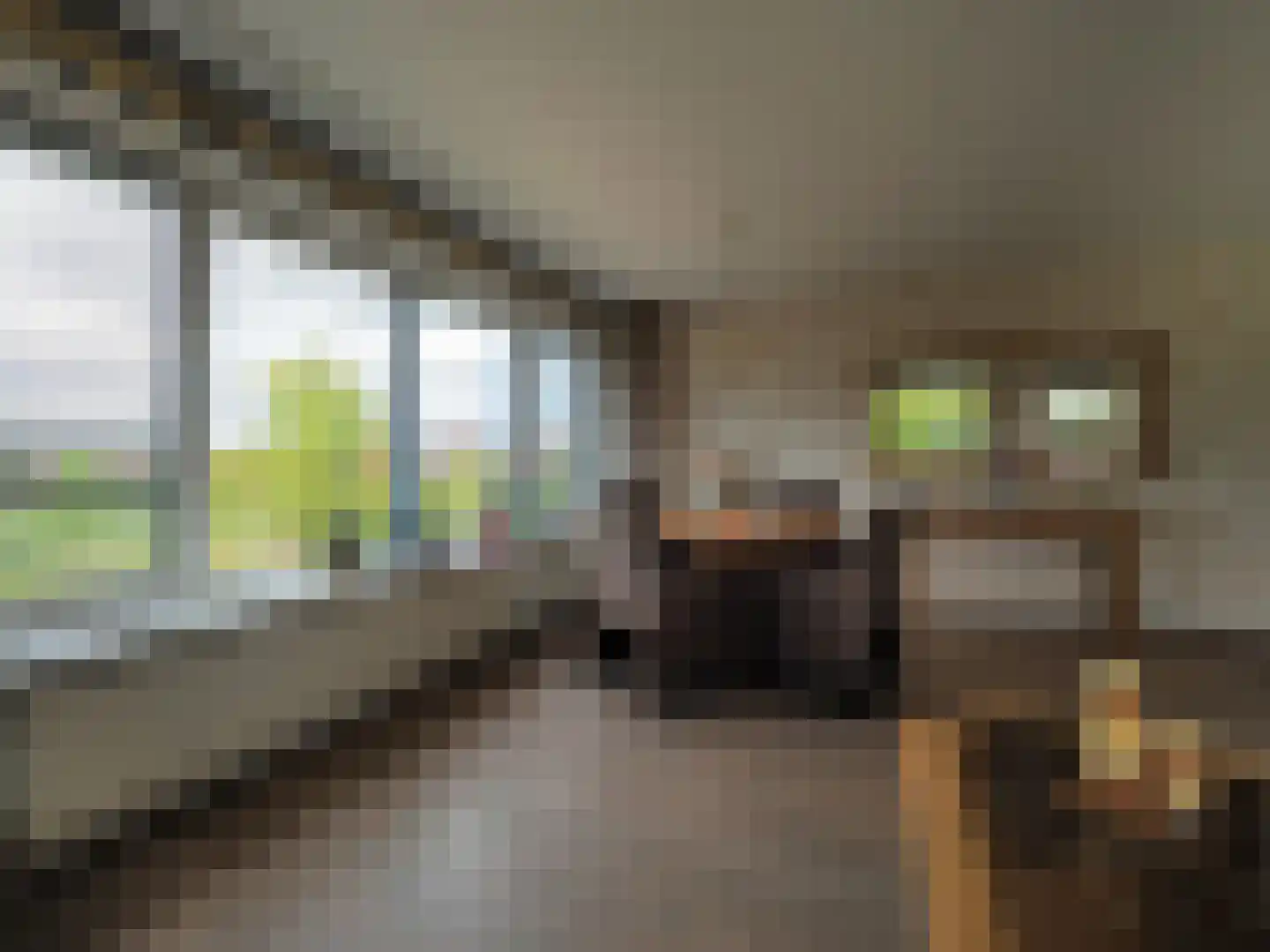 Zonnedauw 23 Papendrecht thumbnail 17
