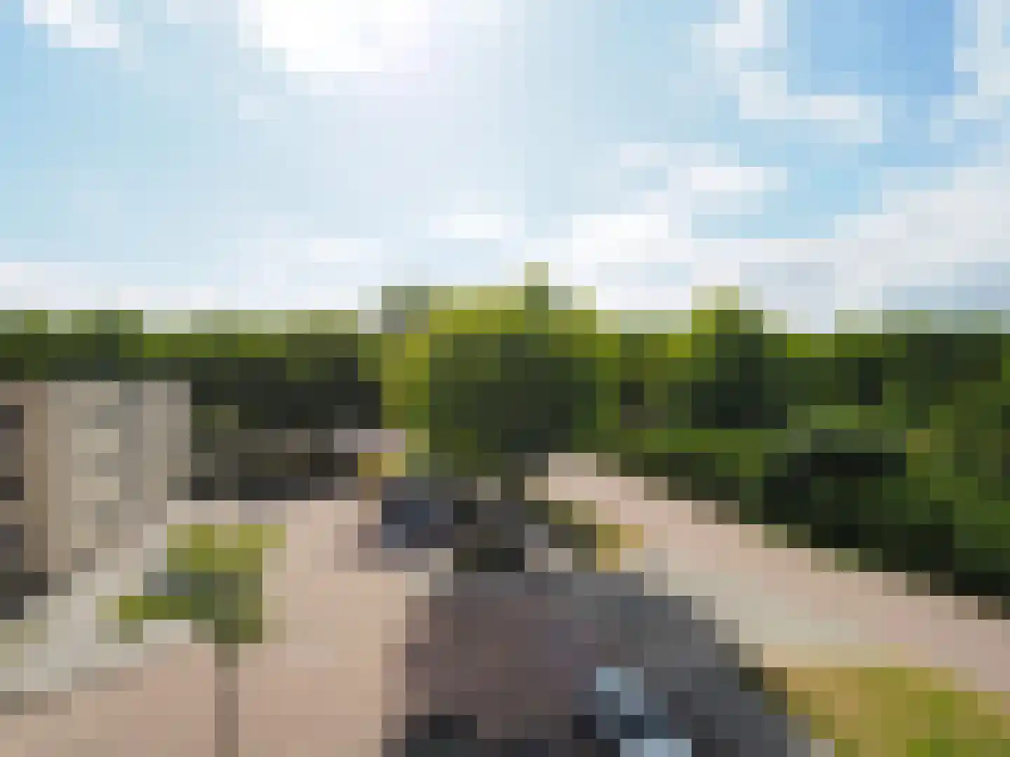 Zonnedauw 23 Papendrecht thumbnail 23