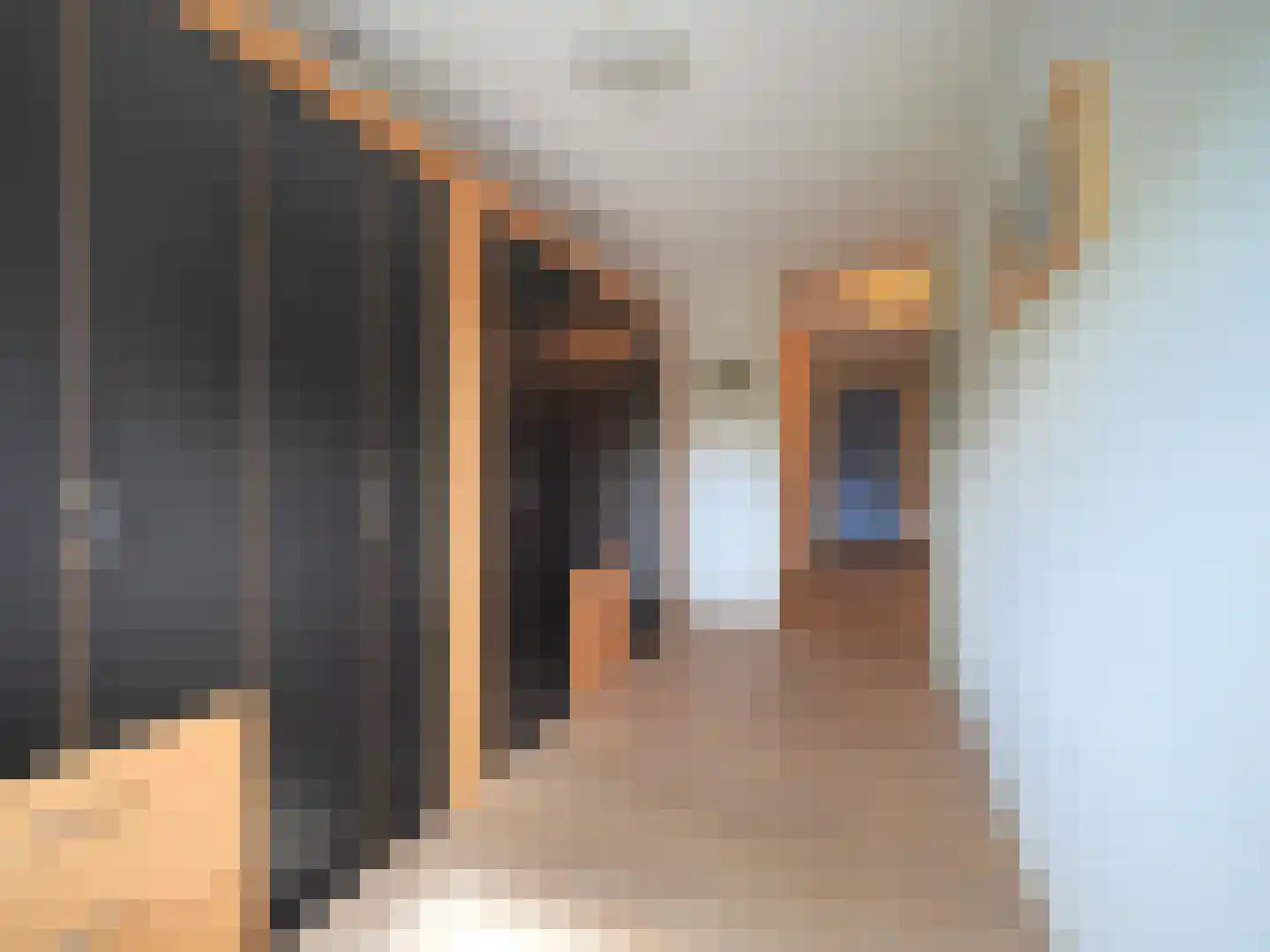 Zonnedauw 23 Papendrecht thumbnail 28
