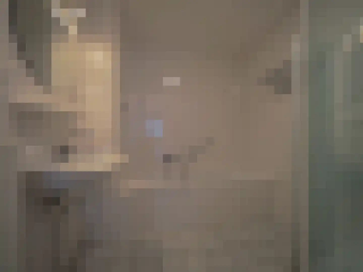 Zonnedauw 23 Papendrecht thumbnail 29