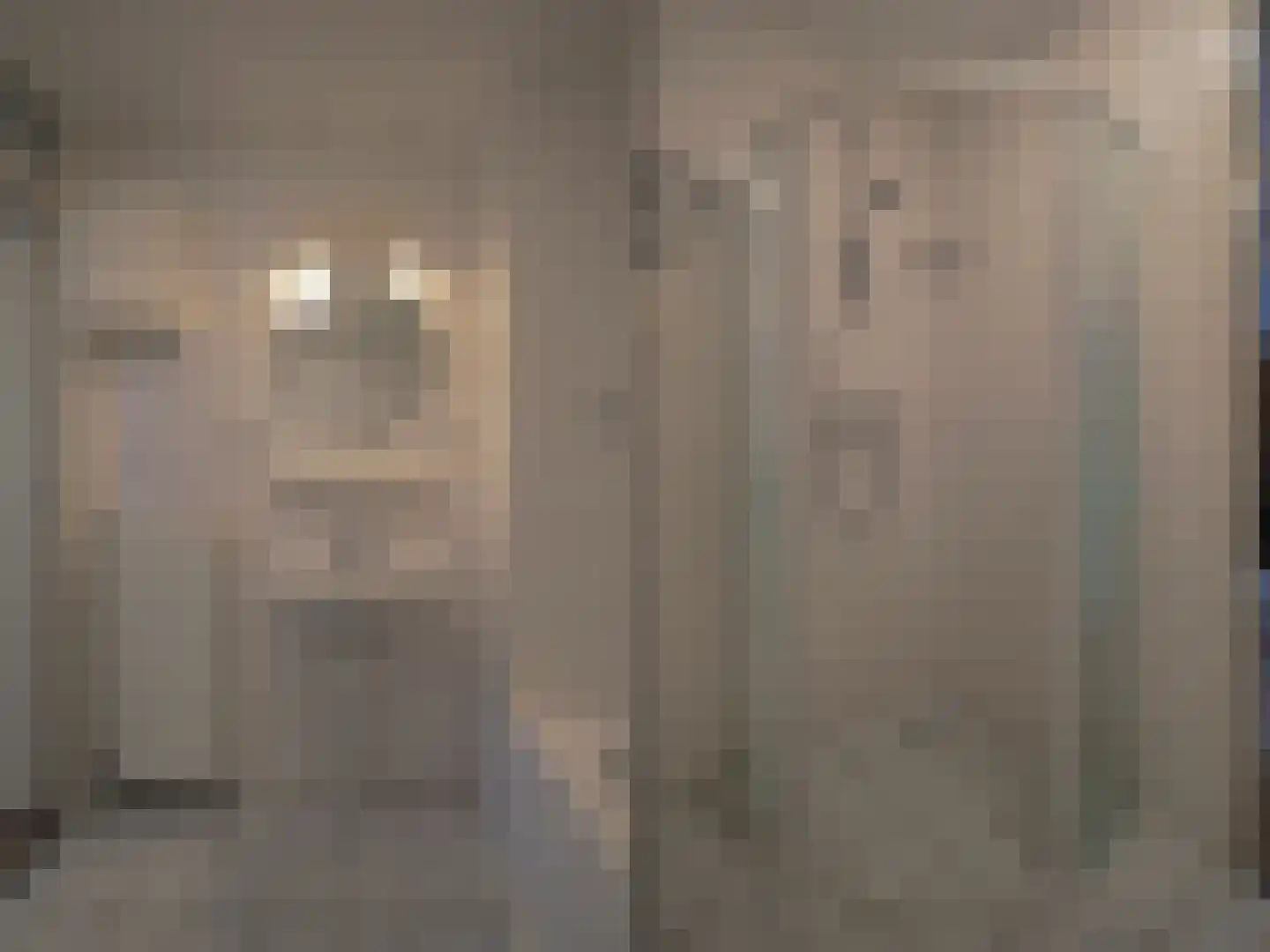 Zonnedauw 23 Papendrecht thumbnail 30