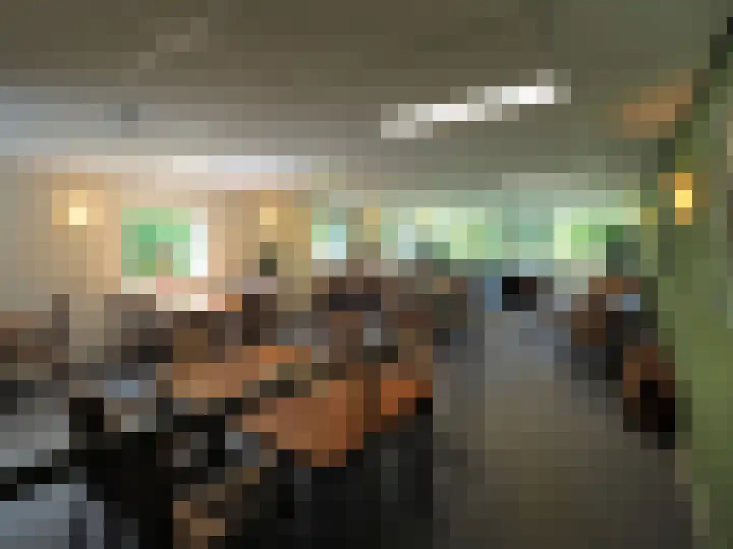 Zonnedauw 23 Papendrecht thumbnail 35