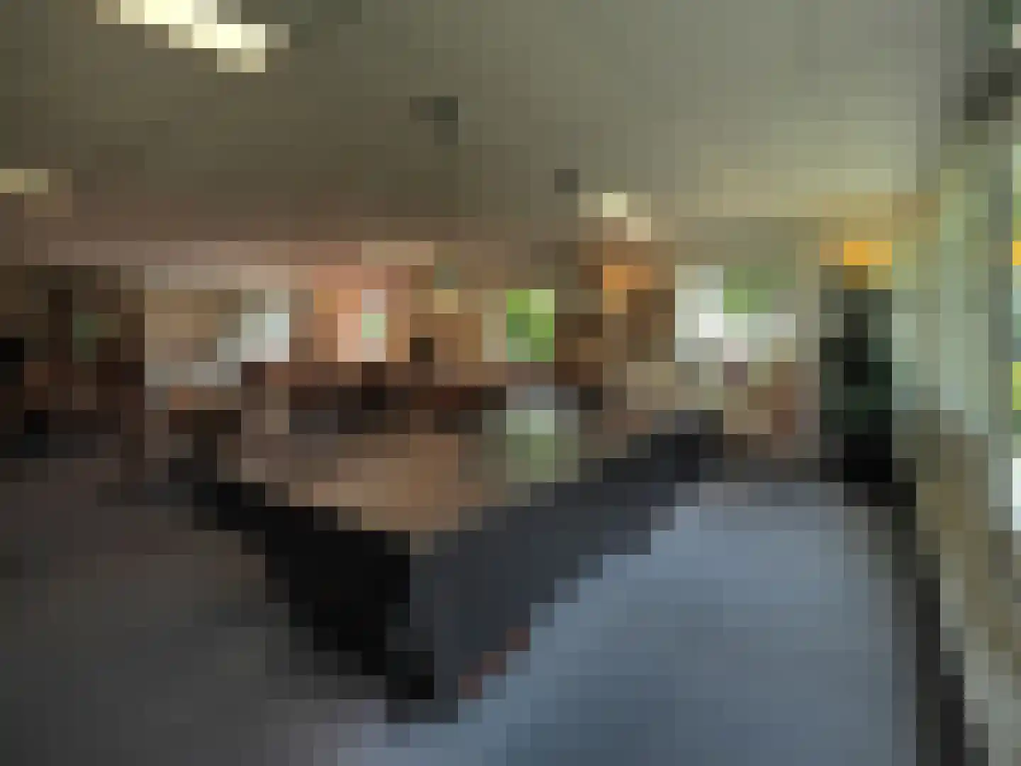 Zonnedauw 23 Papendrecht thumbnail 38