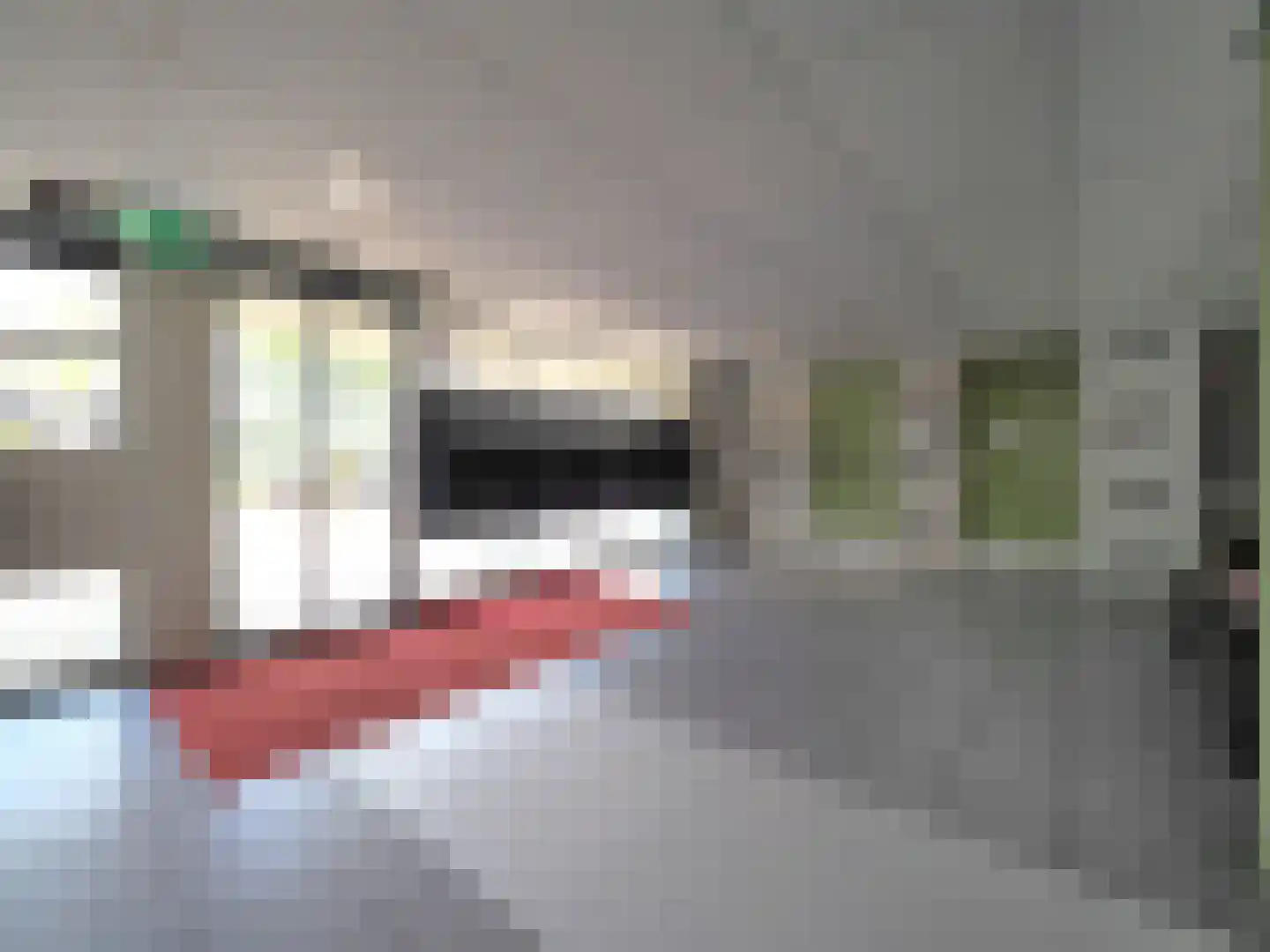 Zonnedauw 23 Papendrecht thumbnail 7