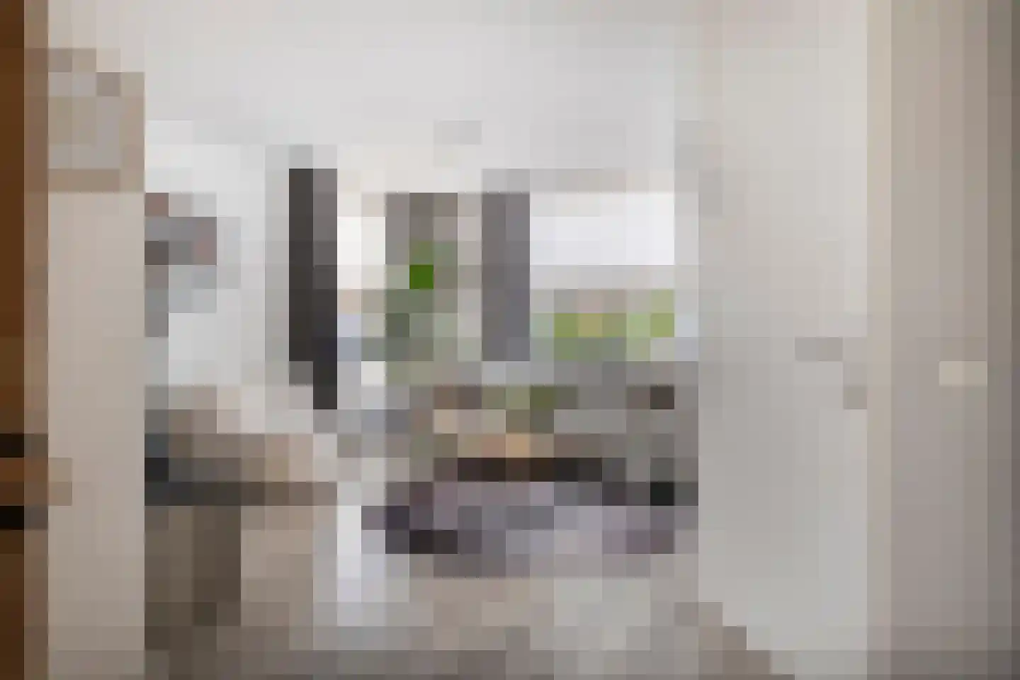 Zonnedauw 24 Deurne thumbnail 10