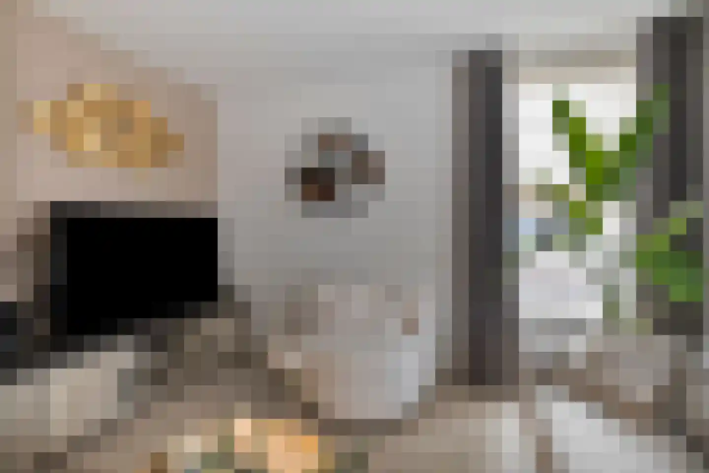 Zonnedauw 24 Deurne thumbnail 13