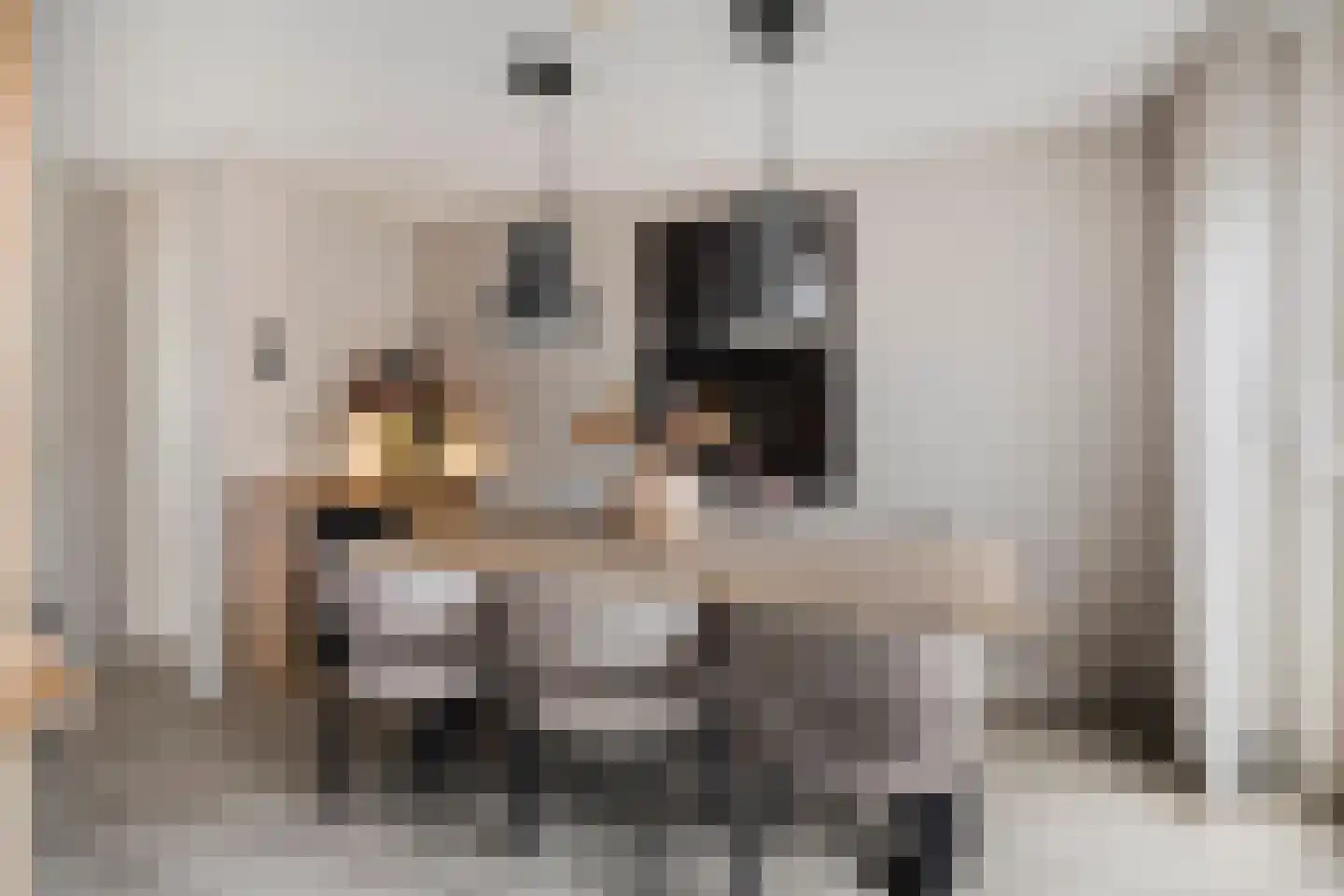 Zonnedauw 24 Deurne thumbnail 15