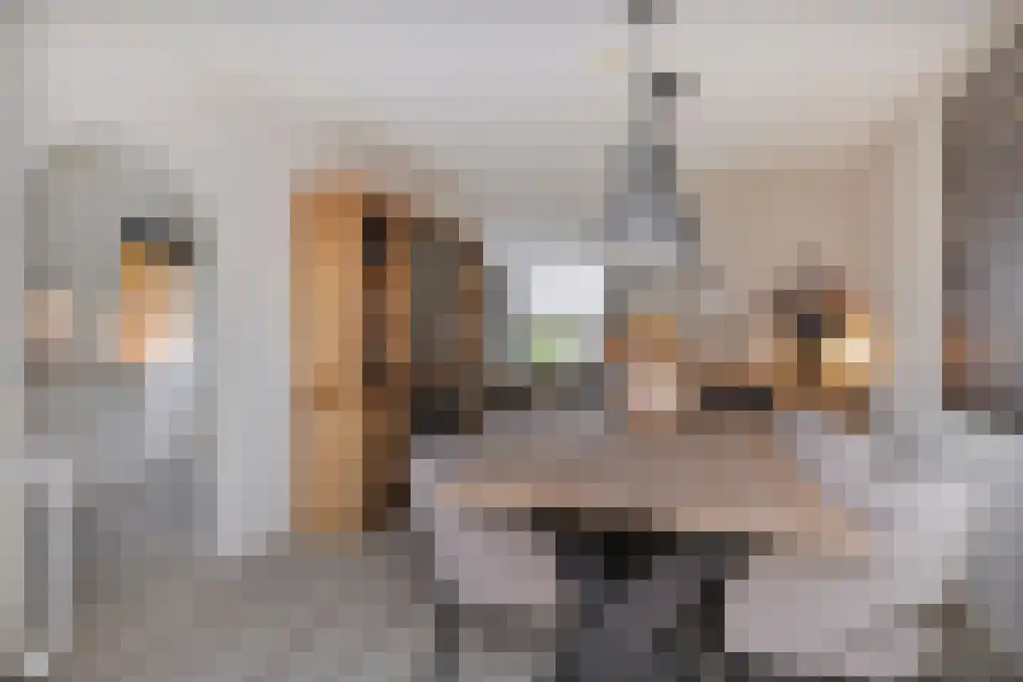 Zonnedauw 24 Deurne thumbnail 16