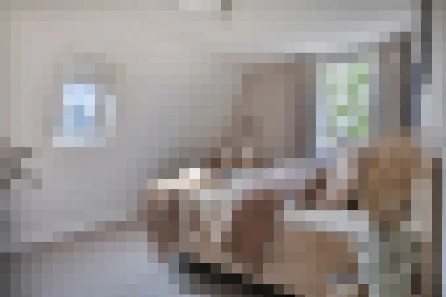 Zonnedauw 24 Deurne thumbnail 21