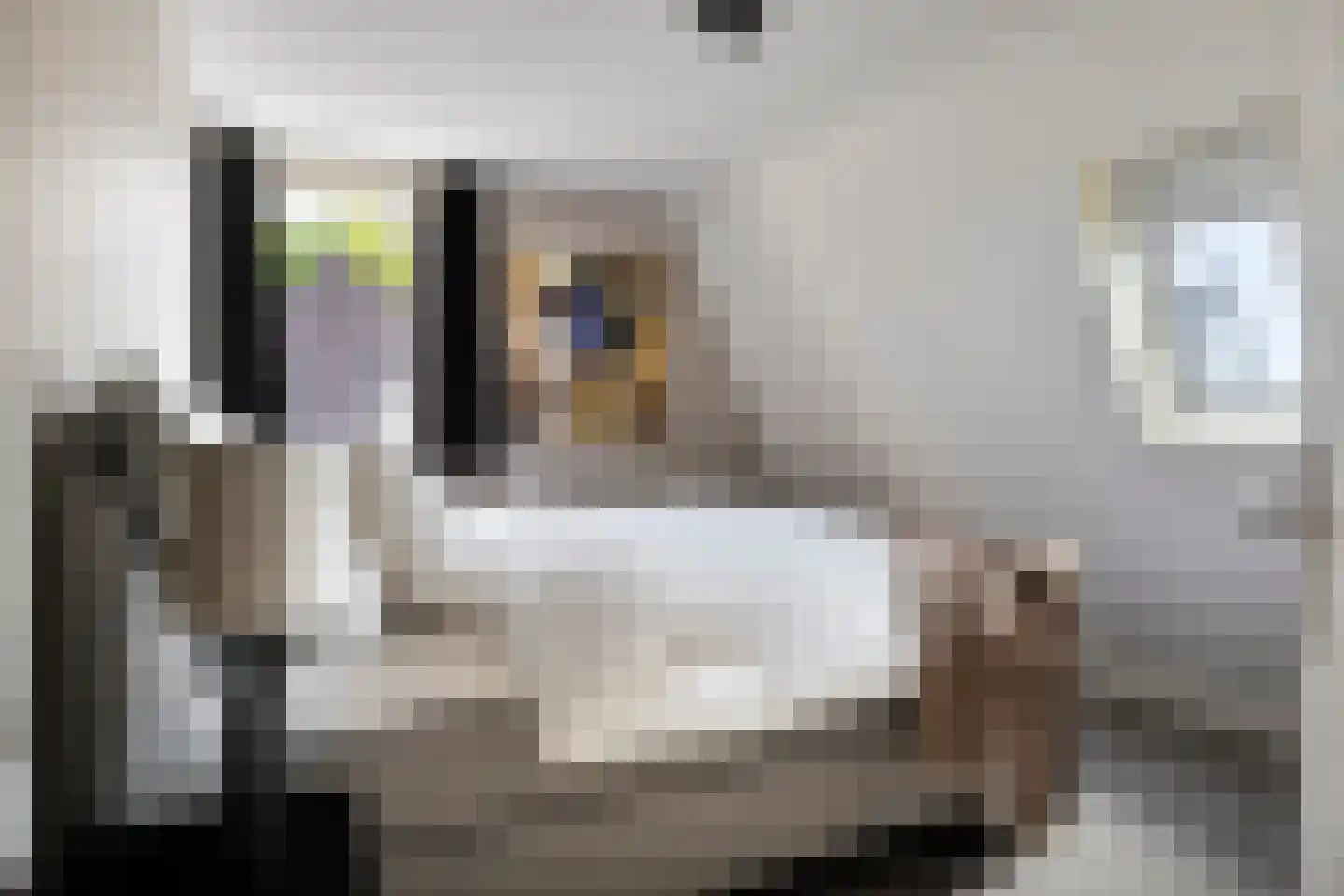 Zonnedauw 24 Deurne thumbnail 23