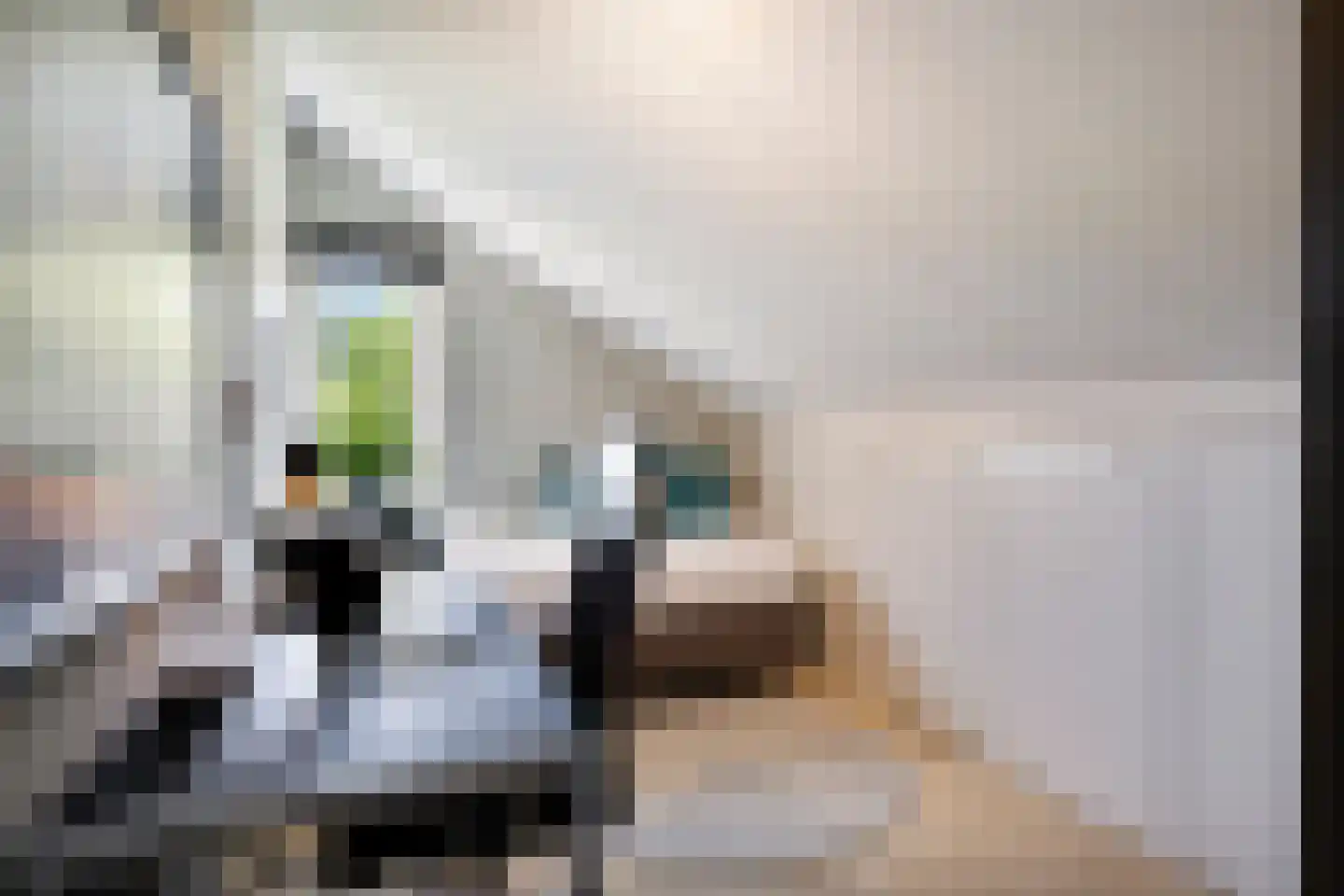 Zonnedauw 24 Deurne thumbnail 32