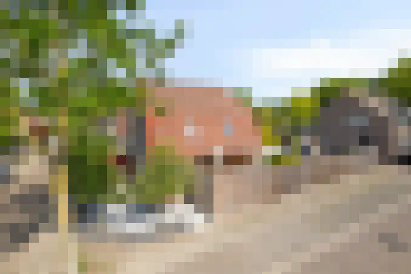 Zonnedauw 24 Deurne thumbnail 48