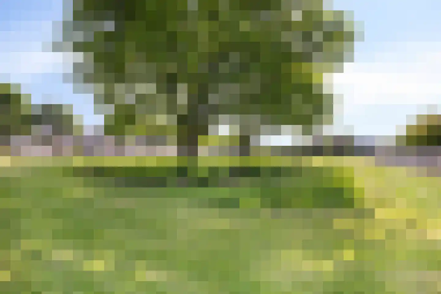 Zonnedauw 24 Deurne thumbnail 52