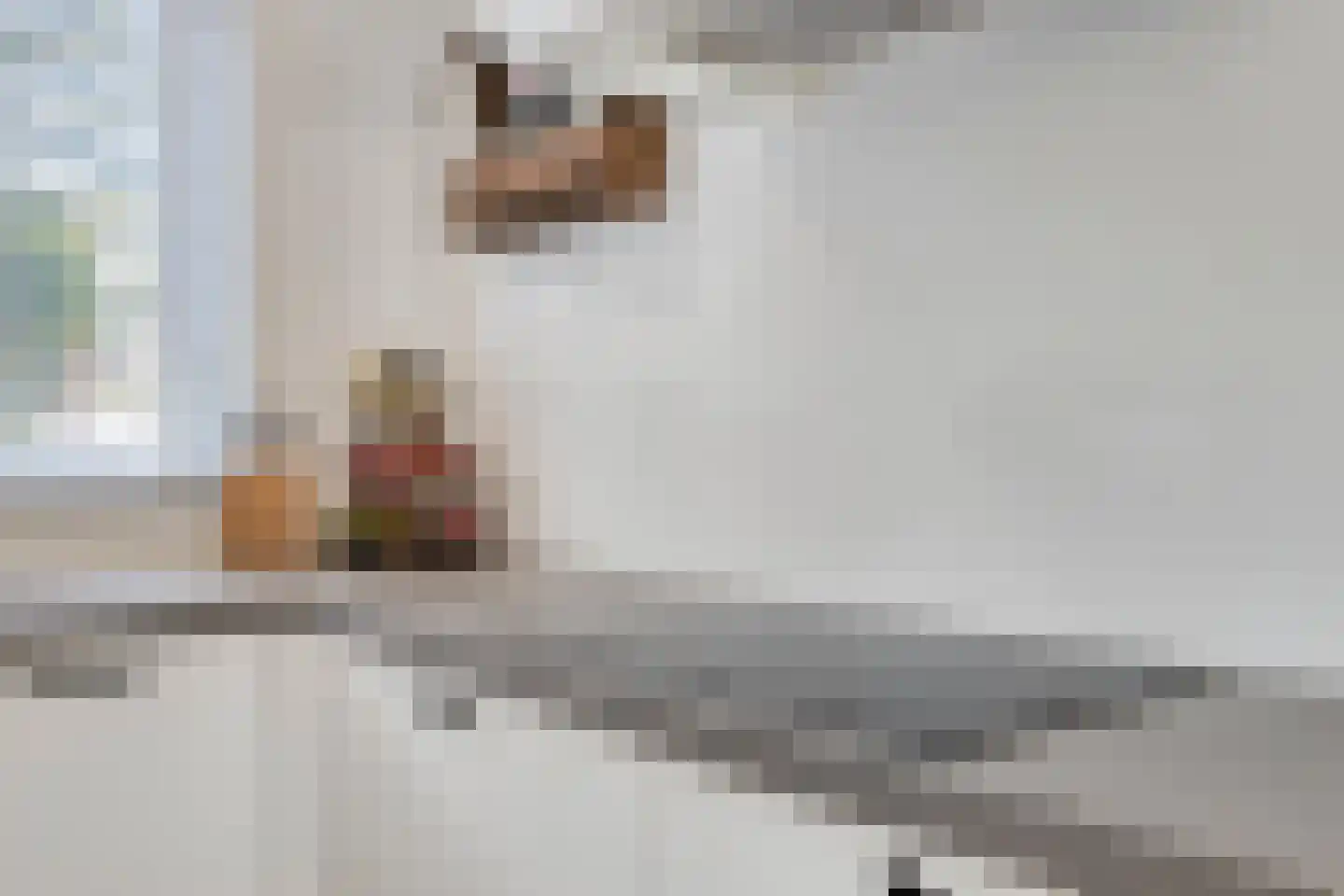 Zonnedauw 24 Odiliapeel thumbnail 13