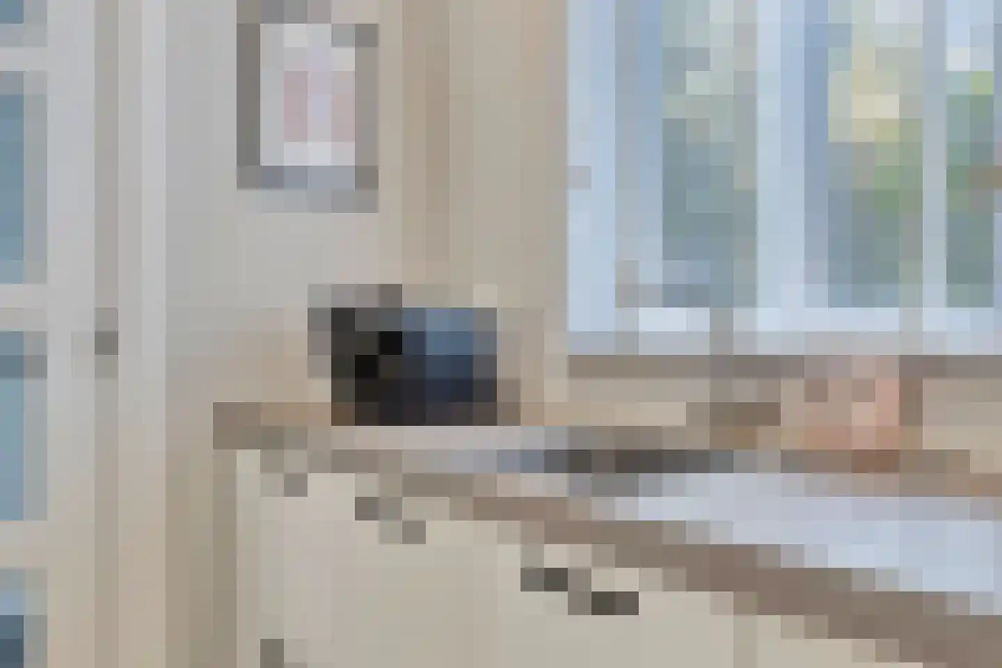 Zonnedauw 24 Odiliapeel thumbnail 14