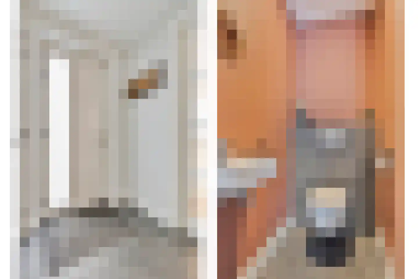 Zonnedauw 24 Odiliapeel thumbnail 17