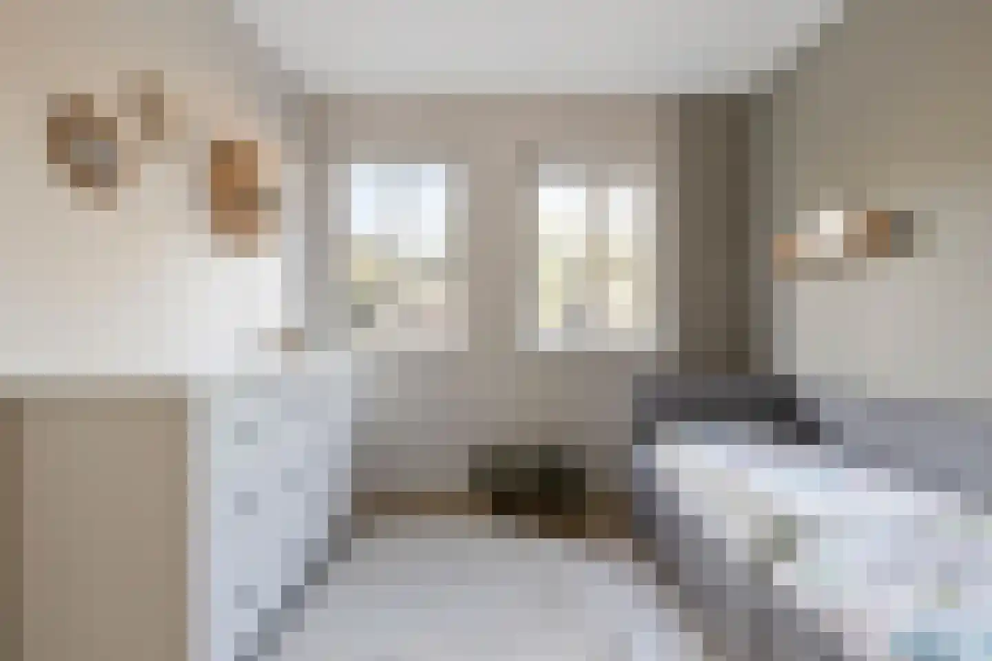 Zonnedauw 24 Odiliapeel thumbnail 22