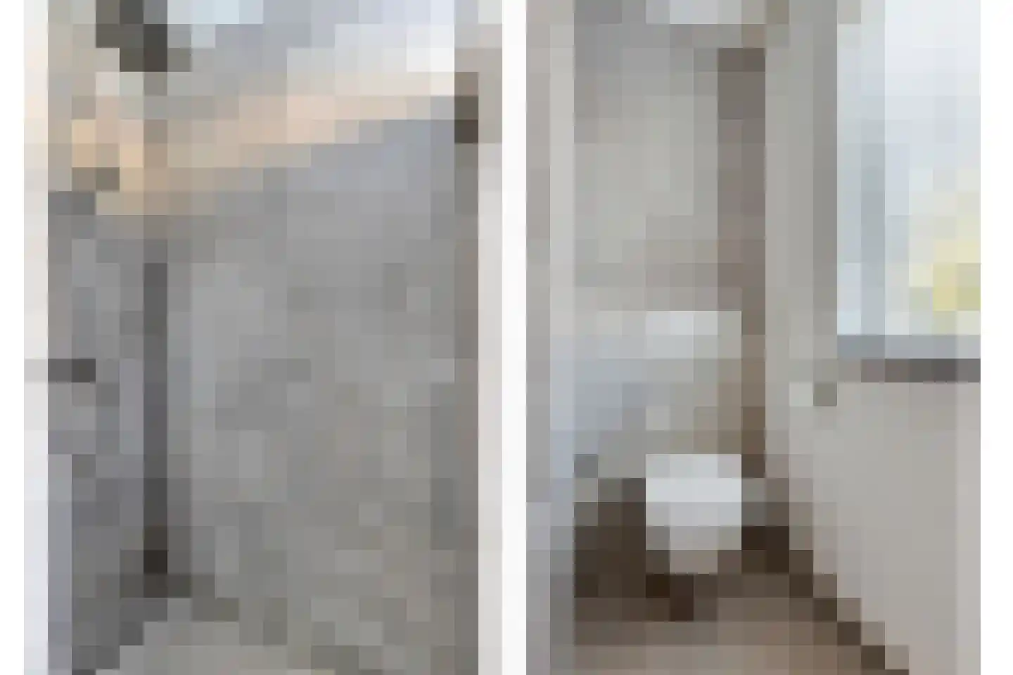 Zonnedauw 24 Odiliapeel thumbnail 25