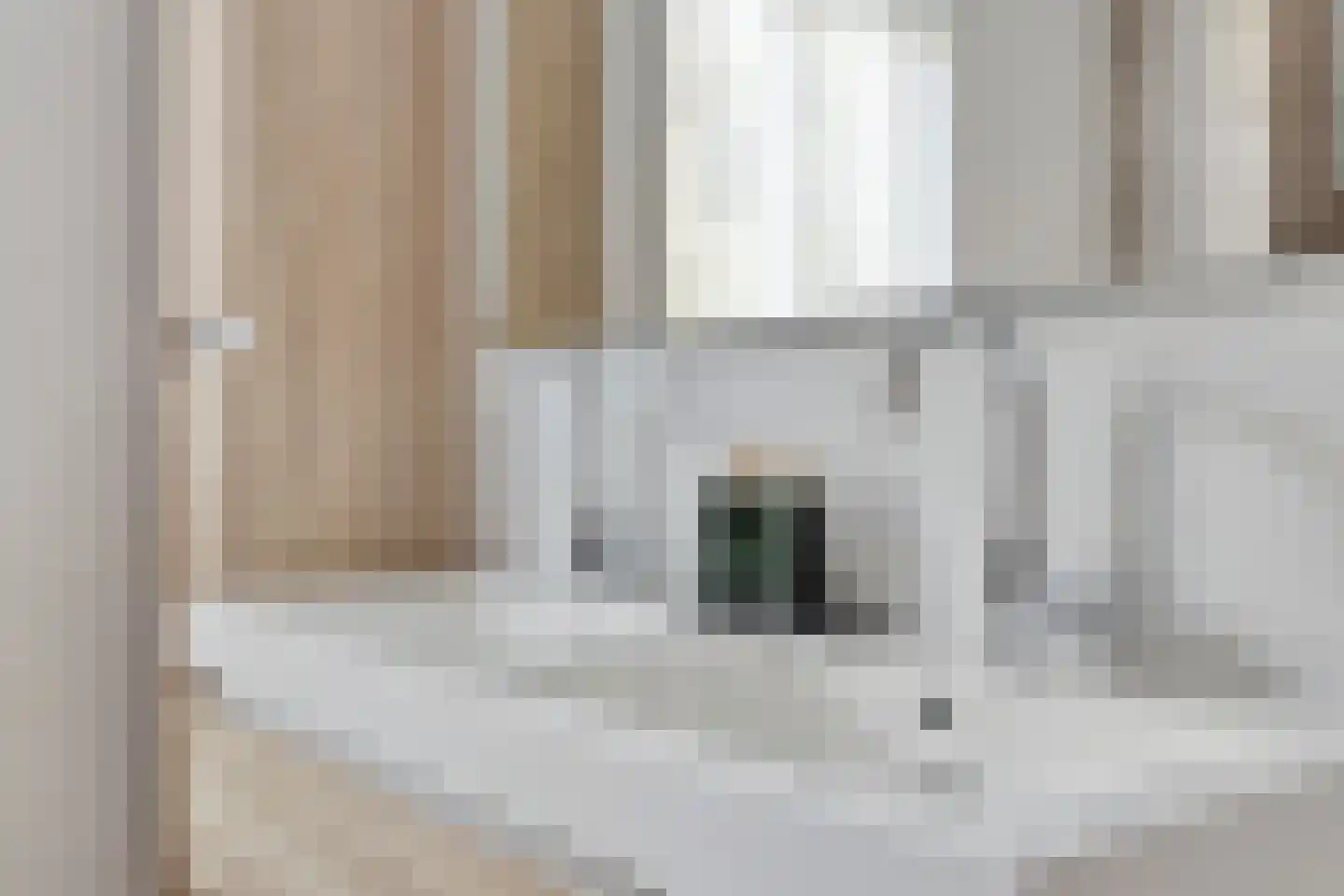 Zonnedauw 24 Odiliapeel thumbnail 27
