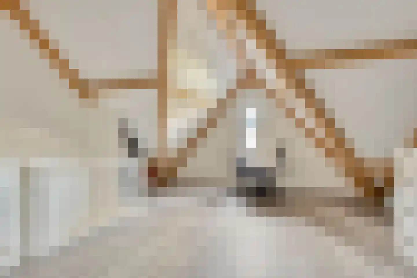 Zonnedauw 24 Odiliapeel thumbnail 30