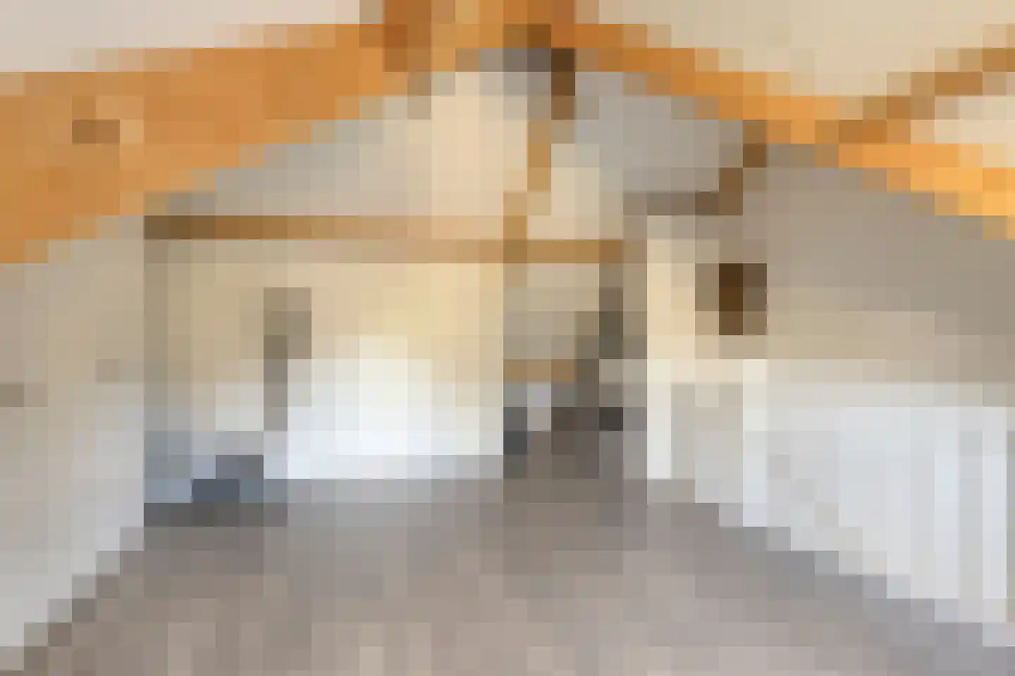 Zonnedauw 24 Odiliapeel thumbnail 31
