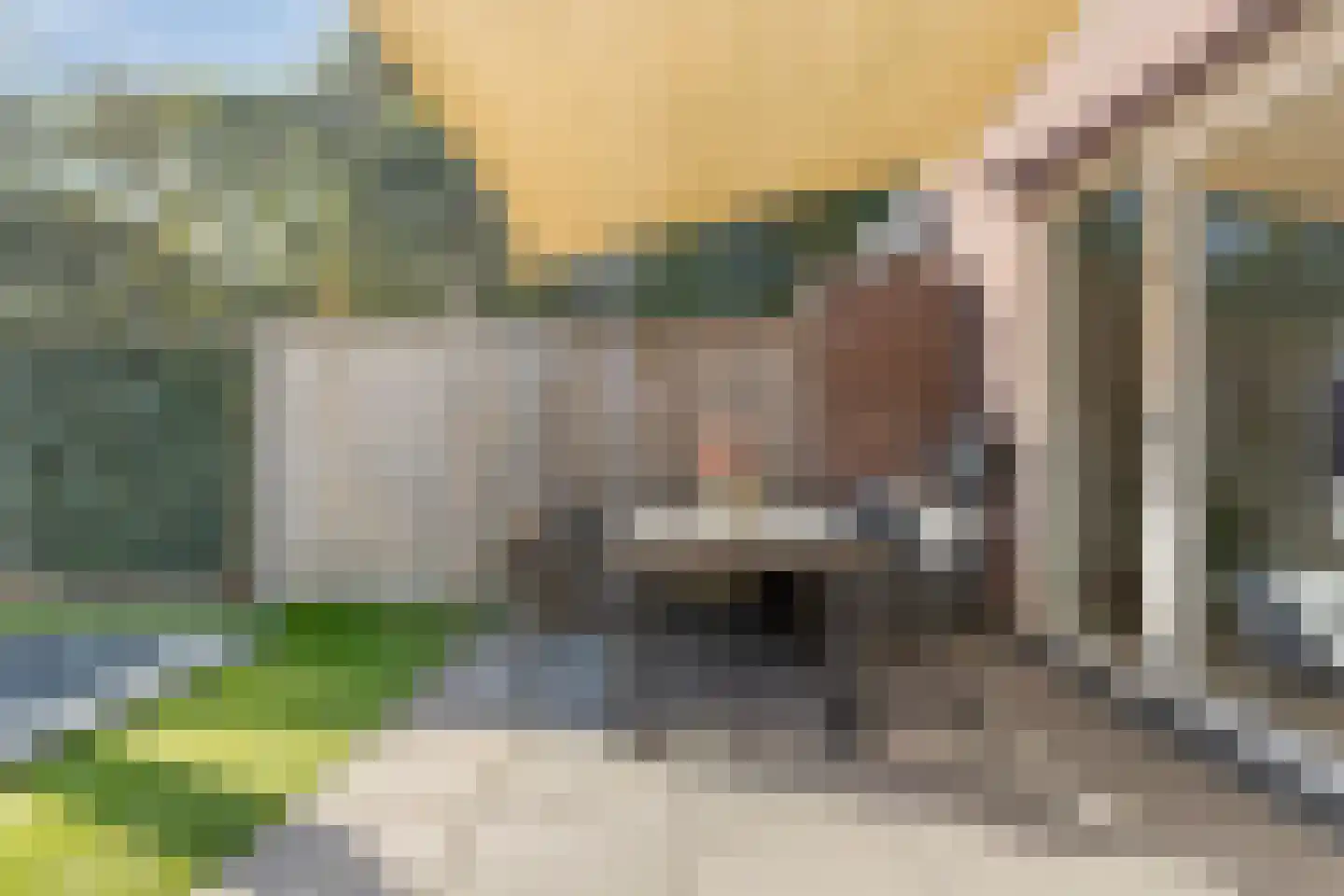 Zonnedauw 24 Odiliapeel thumbnail 35