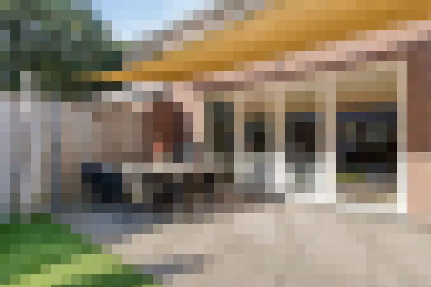 Zonnedauw 24 Odiliapeel thumbnail 36