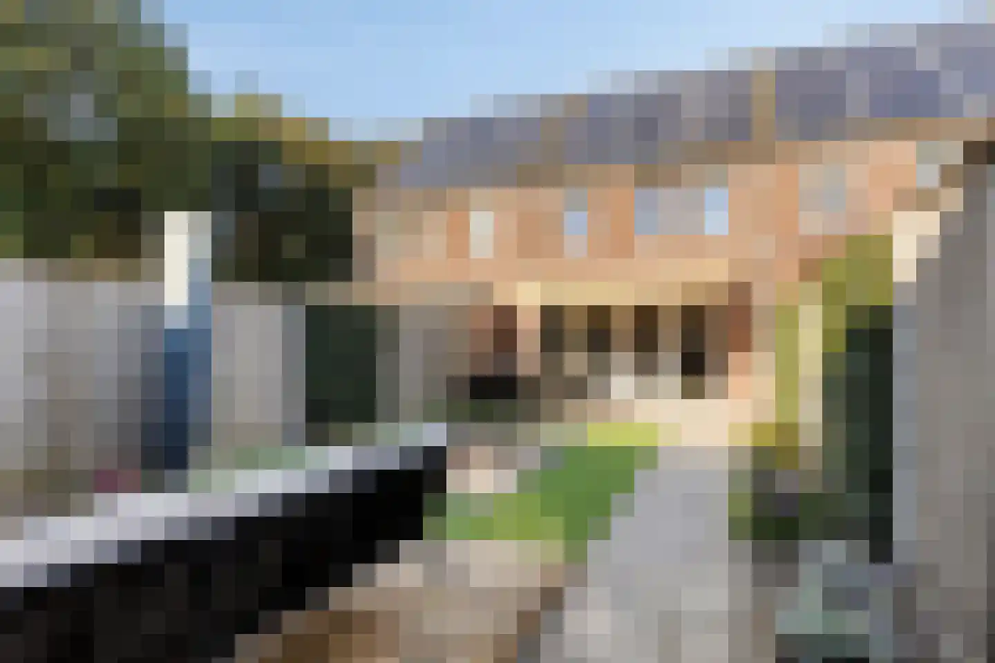 Zonnedauw 24 Odiliapeel thumbnail 37