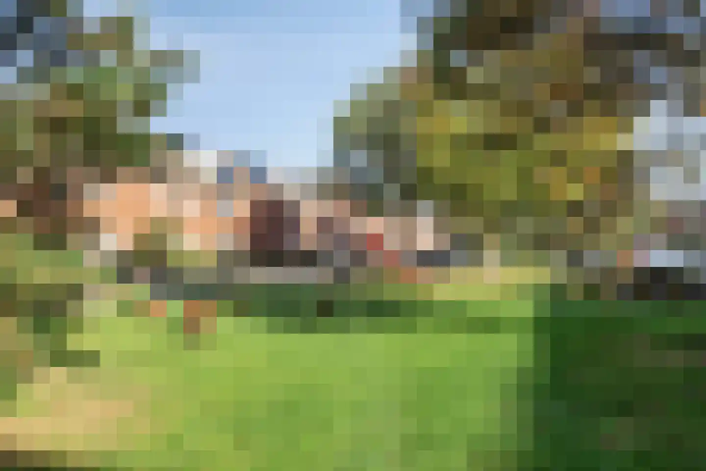 Zonnedauw 24 Odiliapeel thumbnail 42