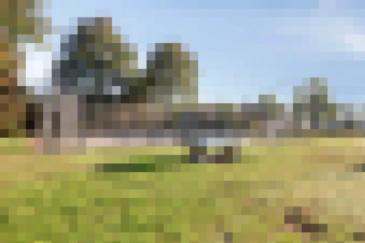 Zonnedauw 24 Odiliapeel thumbnail 43