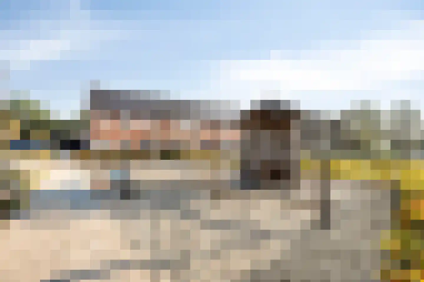 Zonnedauw 24 Odiliapeel thumbnail 44