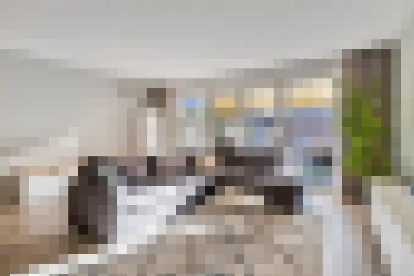 Zonnedauw 24 Odiliapeel thumbnail 6