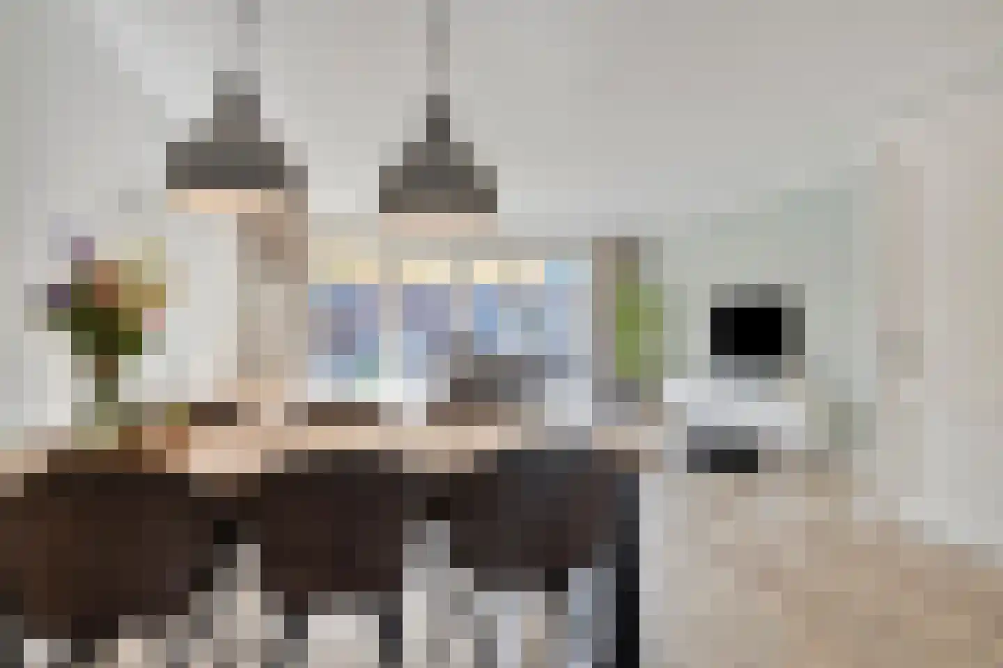 Zonnedauw 24 Odiliapeel thumbnail 9
