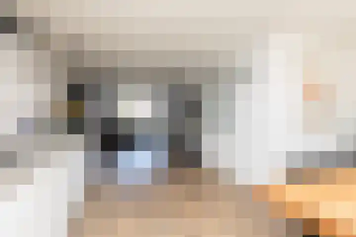 Zonnedauw 24 Sneek thumbnail 10