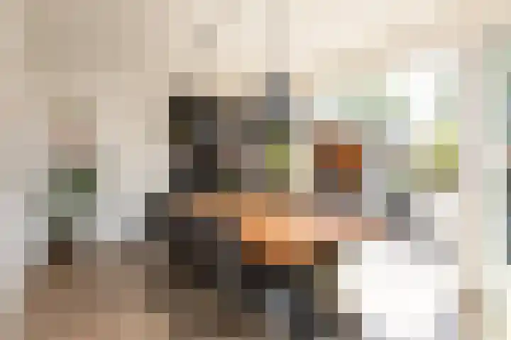 Zonnedauw 24 Sneek thumbnail 12