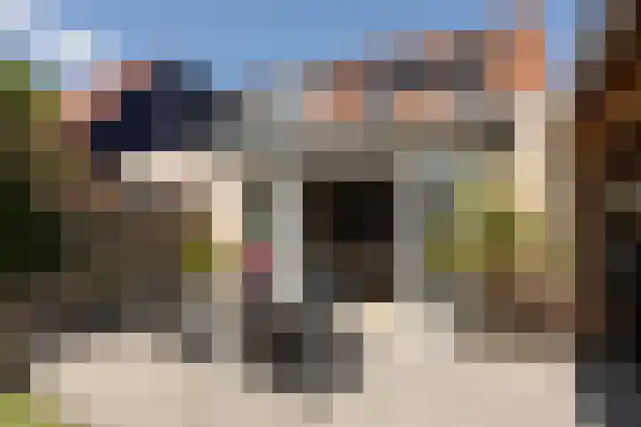 Zonnedauw 24 Sneek thumbnail 13