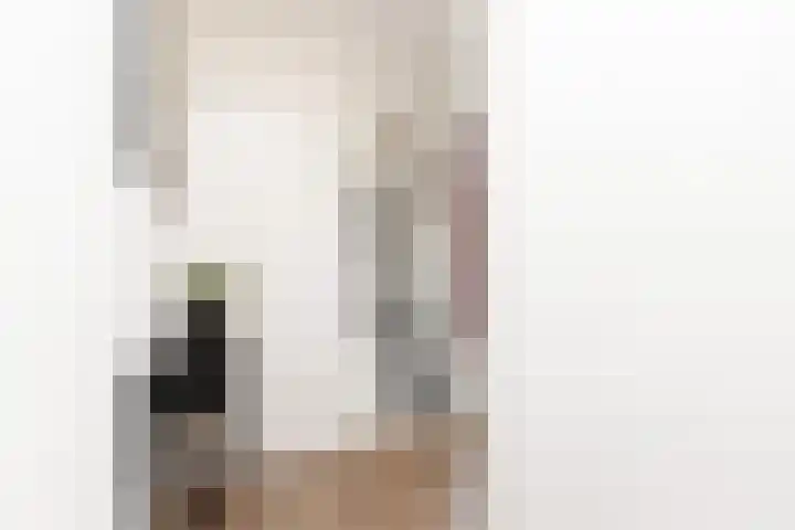 Zonnedauw 24 Sneek thumbnail 16
