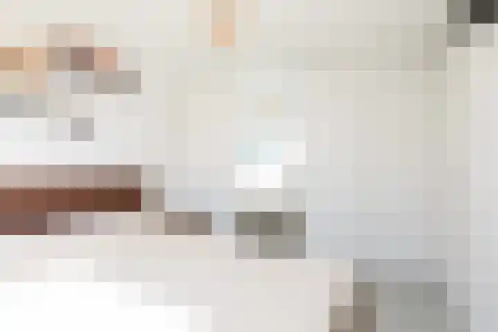 Zonnedauw 24 Sneek thumbnail 19